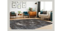 Tapis 170x120cm, design E209E coloris argent - Confort et élégance pour votre intérieur