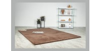 Tapis 150x80cm, design E005N coloris brun - Confort et élégance pour votre intérieur