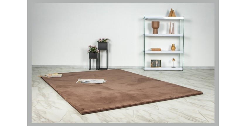 Tapis 150x80cm, design E005N coloris brun - Confort et élégance pour votre intérieur