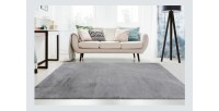 Tapis 150x80cm, design E005N coloris gris - Confort et élégance pour votre intérieur