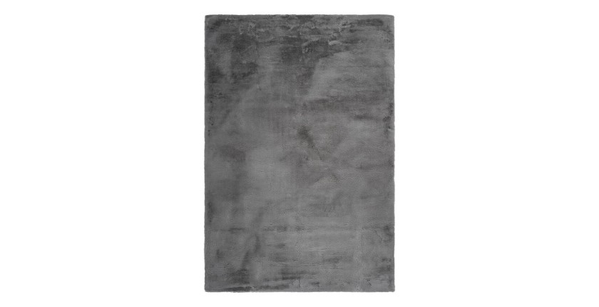 Tapis 230x160cm, design E005N coloris gris - Confort et élégance pour votre intérieur