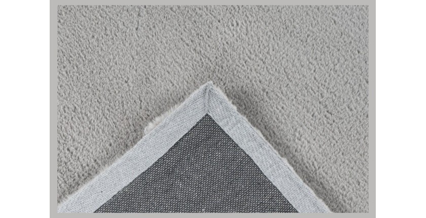 Tapis 230x160cm, design E005N coloris argent - Confort et élégance pour votre intérieur