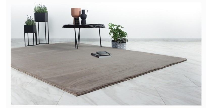 Tapis 150x80cm, design E005N coloris taupe - Confort et élégance pour votre intérieur