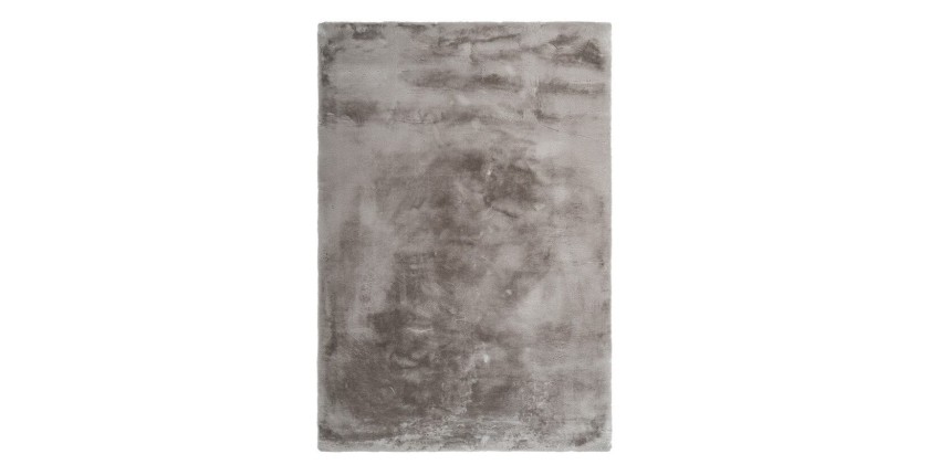 Tapis 150x80cm, design E005N coloris taupe - Confort et élégance pour votre intérieur