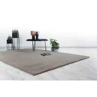 Tapis 170x120cm, design E005N coloris taupe - Confort et élégance pour votre intérieur