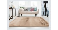 Tapis 170x120cm, design E009Y coloris beige - Confort et élégance pour votre intérieur