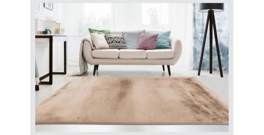 Tapis 230x160cm, design E009Y coloris beige - Confort et élégance pour votre intérieur