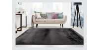 Tapis 170x120cm, design E009Y coloris graphite - Confort et élégance pour votre intérieur