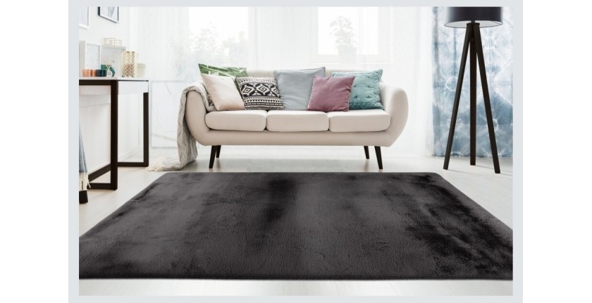 Tapis 230x160cm, design E009Y coloris graphite - Confort et élégance pour votre intérieur