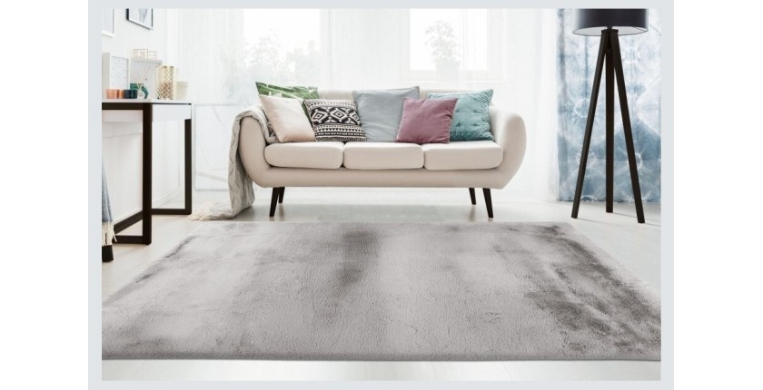 Tapis 230x160cm, design E009Y coloris argent - Confort et élégance pour votre intérieur