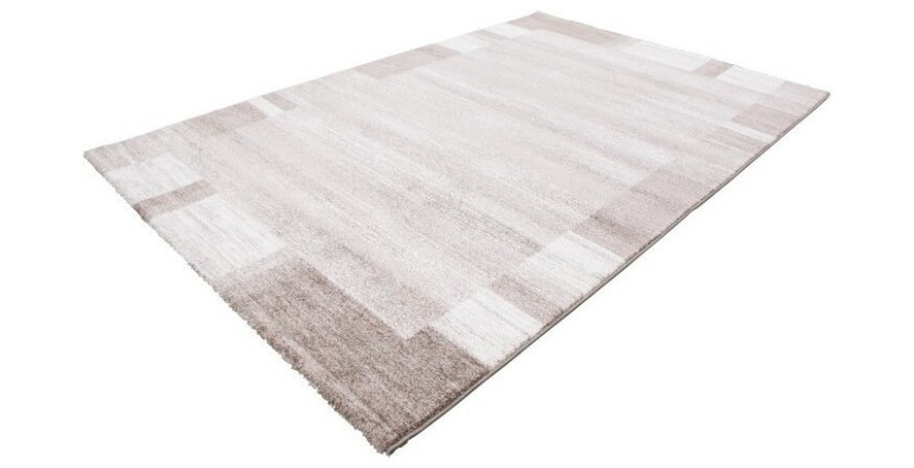 Tapis 230x160cm, design F005G coloris beige - Confort et élégance pour votre intérieur