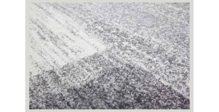 Tapis 230x160cm, design F005G coloris argent - Confort et élégance pour votre intérieur