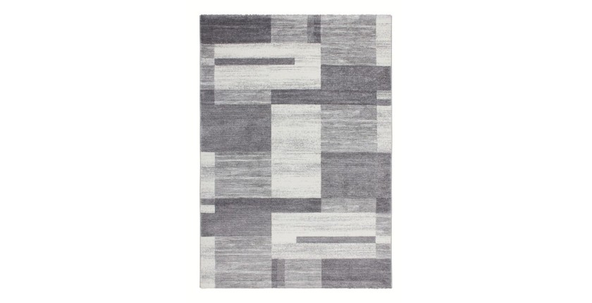 Tapis 170x120cm, design F105G coloris argent - Confort et élégance pour votre intérieur