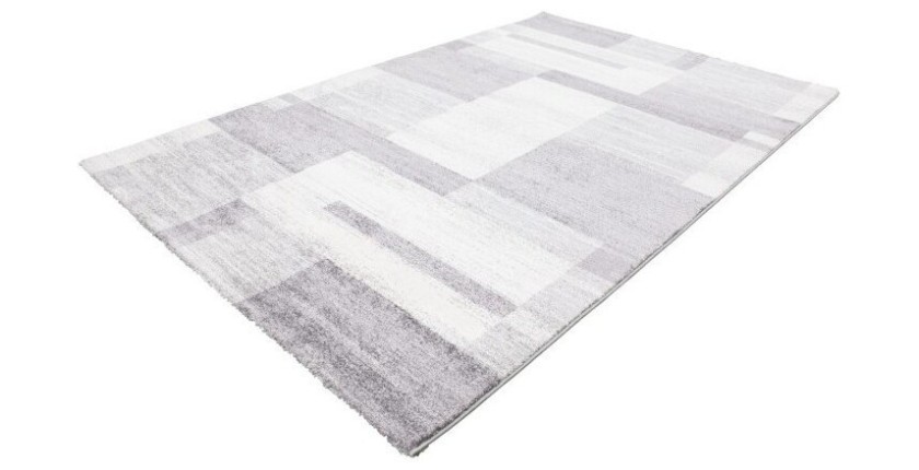 Tapis 290x200cm, design F105G coloris argent - Confort et élégance pour votre intérieur