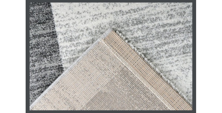 Tapis 290x200cm, design F105G coloris argent - Confort et élégance pour votre intérieur