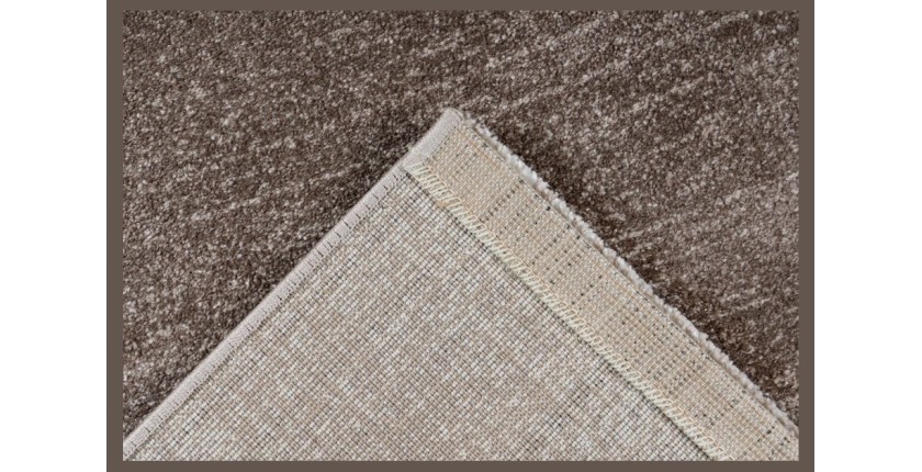 Tapis 170x120cm, design F205G coloris beige - Confort et élégance pour votre intérieur