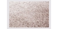 Tapis 290x200cm, design F205G coloris beige - Confort et élégance pour votre intérieur