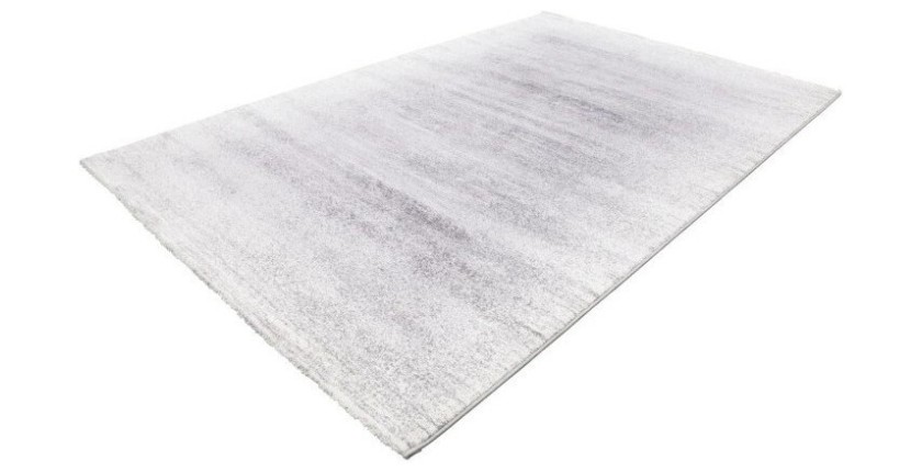 Tapis 170x120cm, design F205G coloris argent - Confort et élégance pour votre intérieur