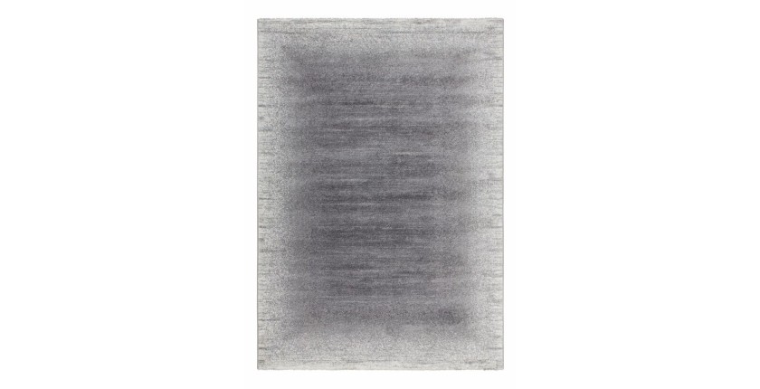 Tapis 290x200cm, design F205G coloris argent - Confort et élégance pour votre intérieur