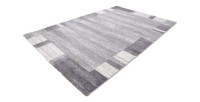 Tapis 290x200cm, design F005G coloris argent - Confort et élégance pour votre intérieur