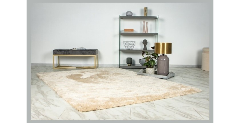 Tapis 170x120cm, design G008R coloris beige - Confort et élégance pour votre intérieur