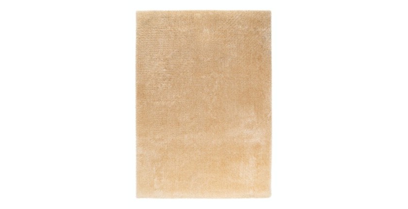 Tapis 290x200cm, design G008R coloris beige - Confort et élégance pour votre intérieur