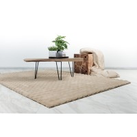 Tapis 230x160cm, design H008Y coloris beige - Confort et élégance pour votre intérieur