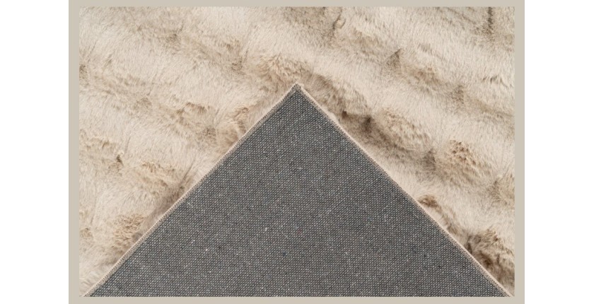 Tapis 290x200cm, design H008Y coloris beige - Confort et élégance pour votre intérieur