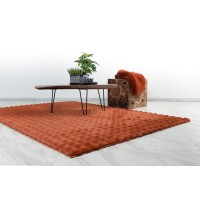 Tapis 170x120cm, design H008Y coloris rouge terracotta - Confort et élégance pour votre intérieur