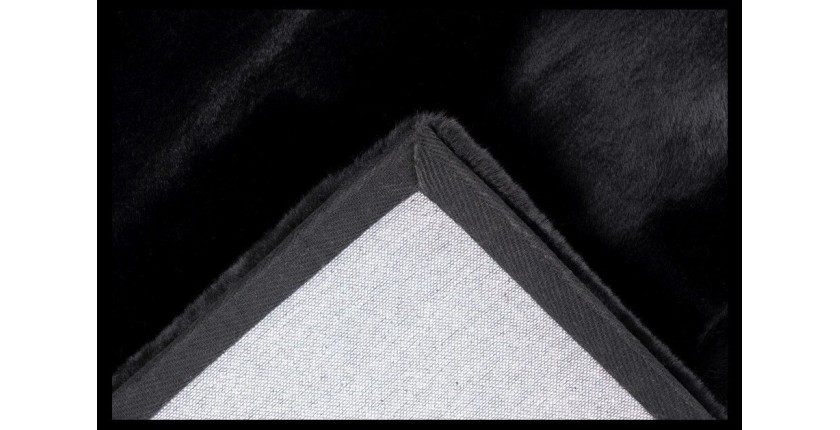 Tapis 170x120 cm, design H008N coloris noir - Confort et élégance pour votre intérieur