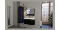 Ensemble meubles de salle de bain collection BIRD, coloris noir mat et brillant avec une colonne et vasque 80cm