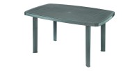 Table d'extérieur coloris vert en PVC dimension 140x90cm