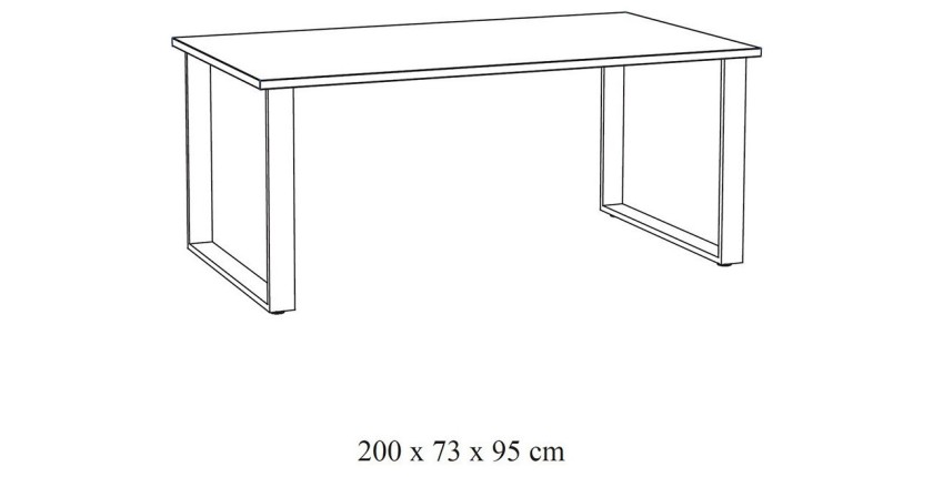 Table 10 personnes pour salle à manger collection NEWTON coloris chêne clair. Pieds en métal.