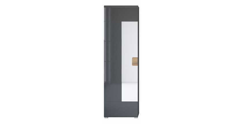 Armoire à chaussures design avec miroir collection OHIO, coloris gris anthracite et chêne